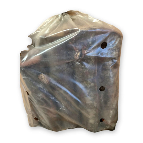3kg bag of kaggel fireplace wood